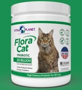 cat cats probiotic digestion digestive potency breed breeds flora gut